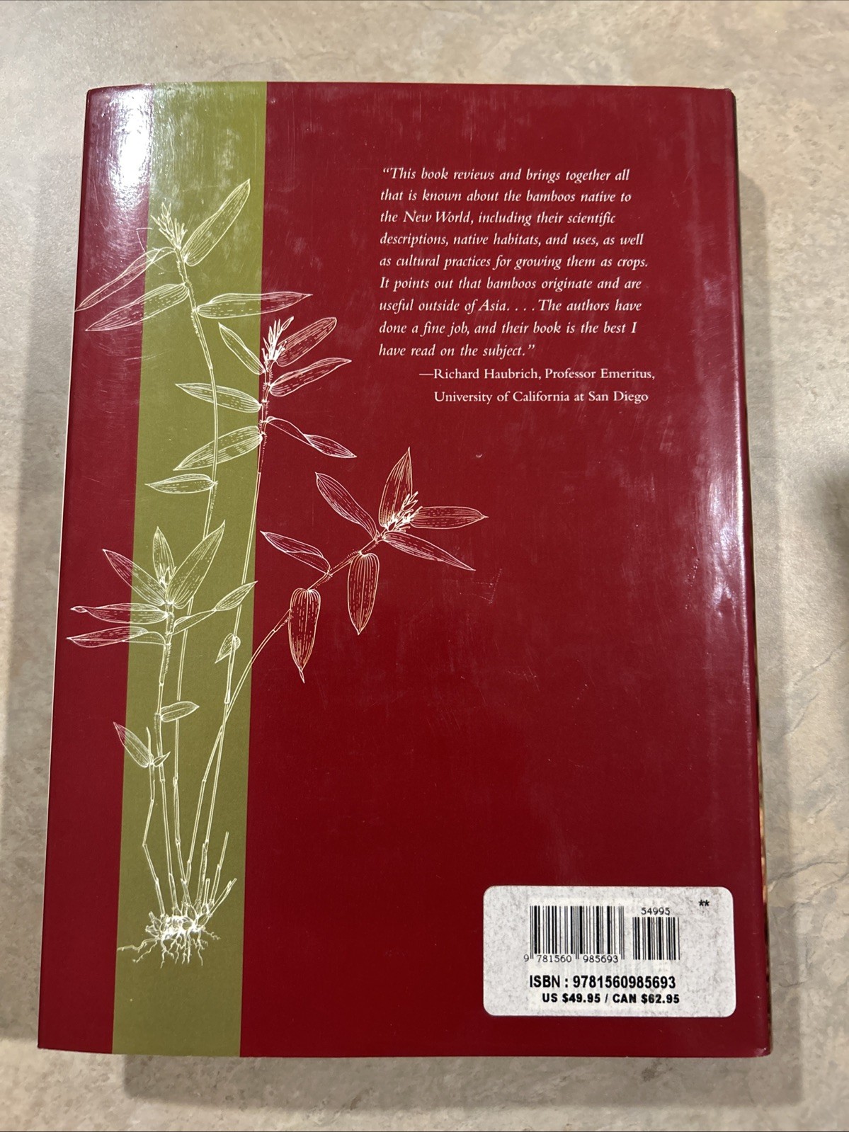 American Bamboos