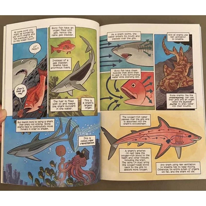Science Comics Series: Get to Know Your Universe 30 Books Full Set – Free DHL