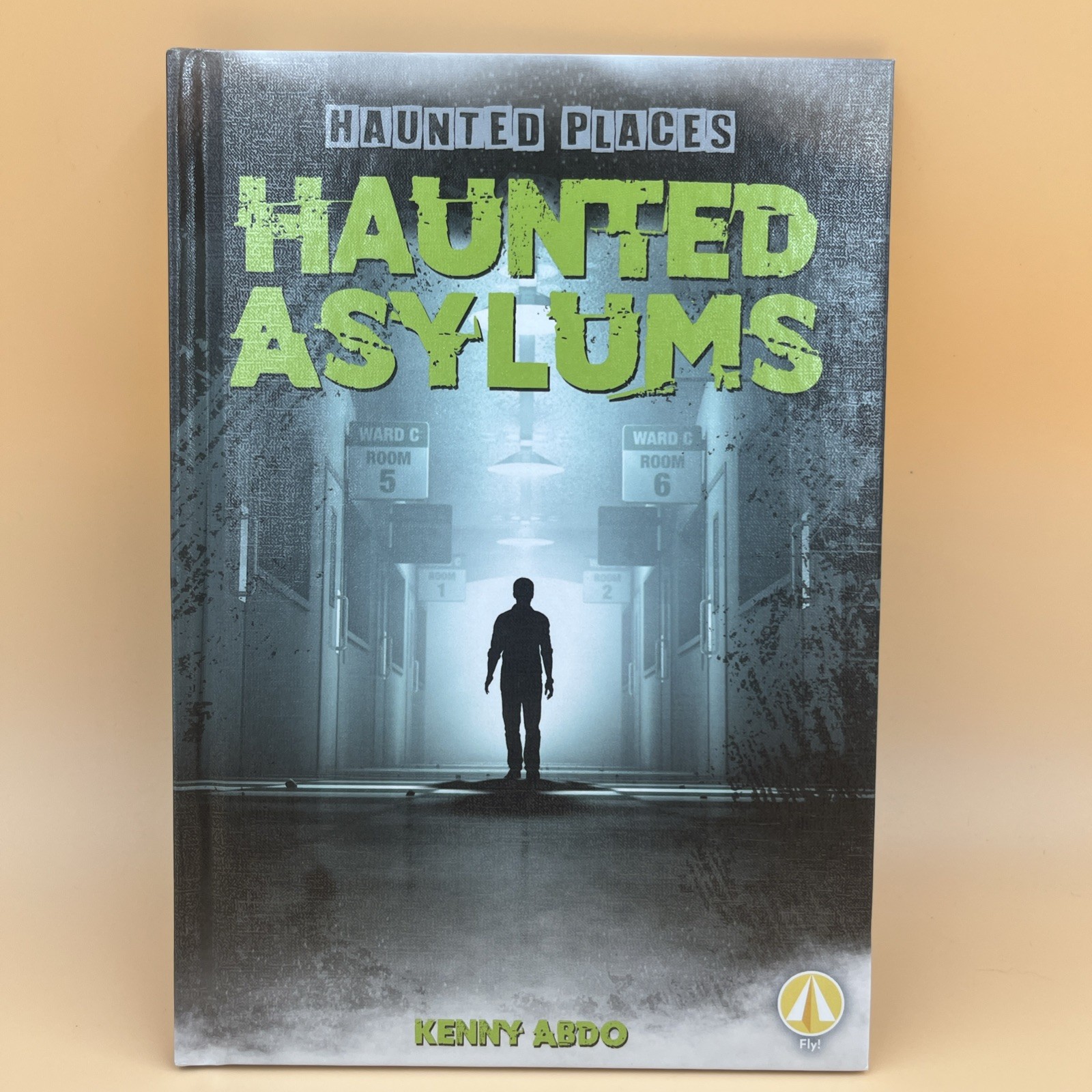 Haunted Asylums Kenny Abdo Paranormal History Ghost Book