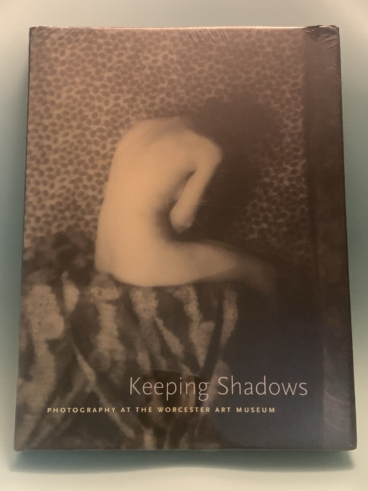 [SEALED] Keeping Shadows – Worcester Art Museum Fine Art Photography LARGE 12×9