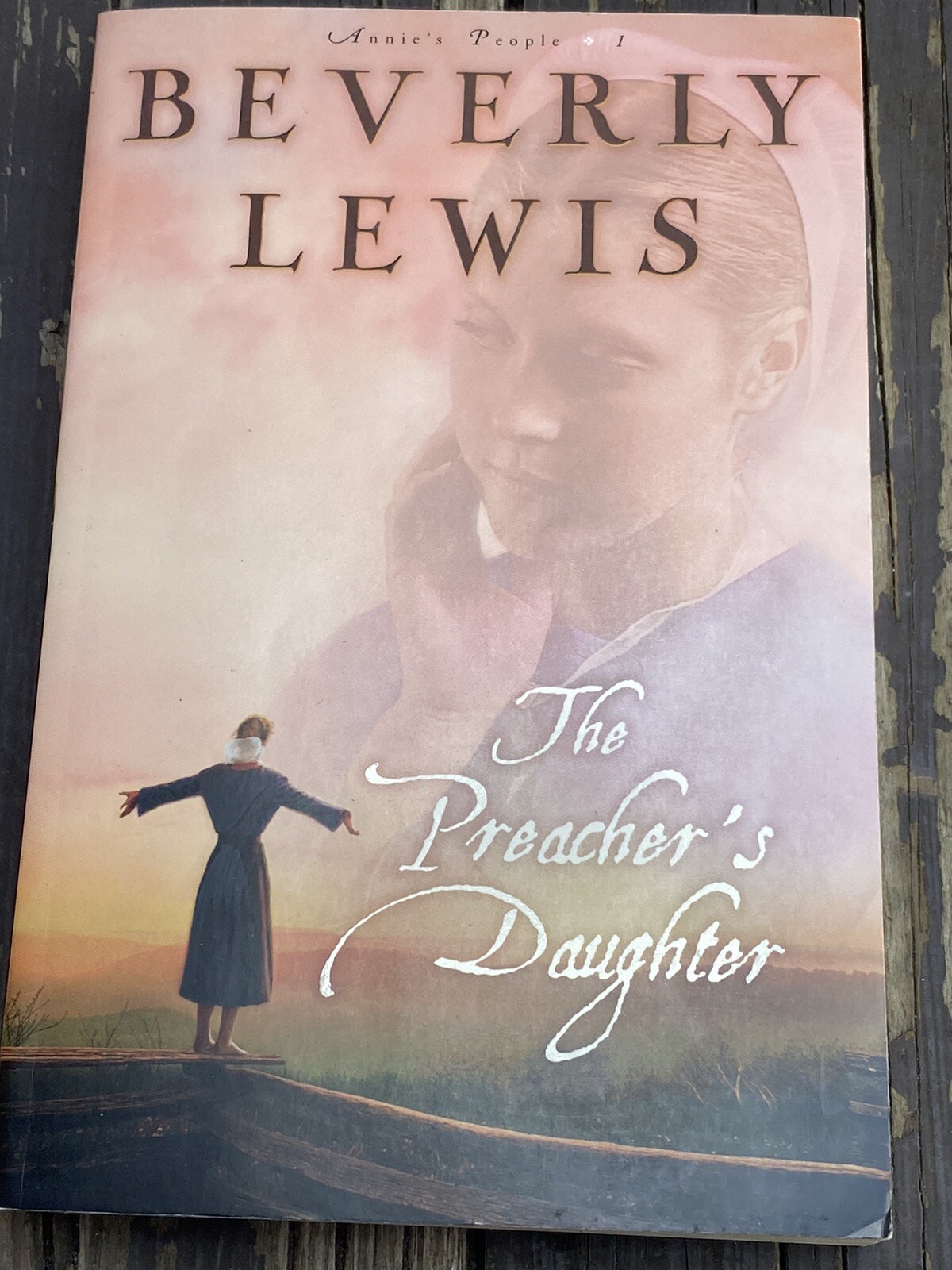Annie’s People Ser.: The Preacher’s Daughter by Beverly Lewis (2005, Trade…