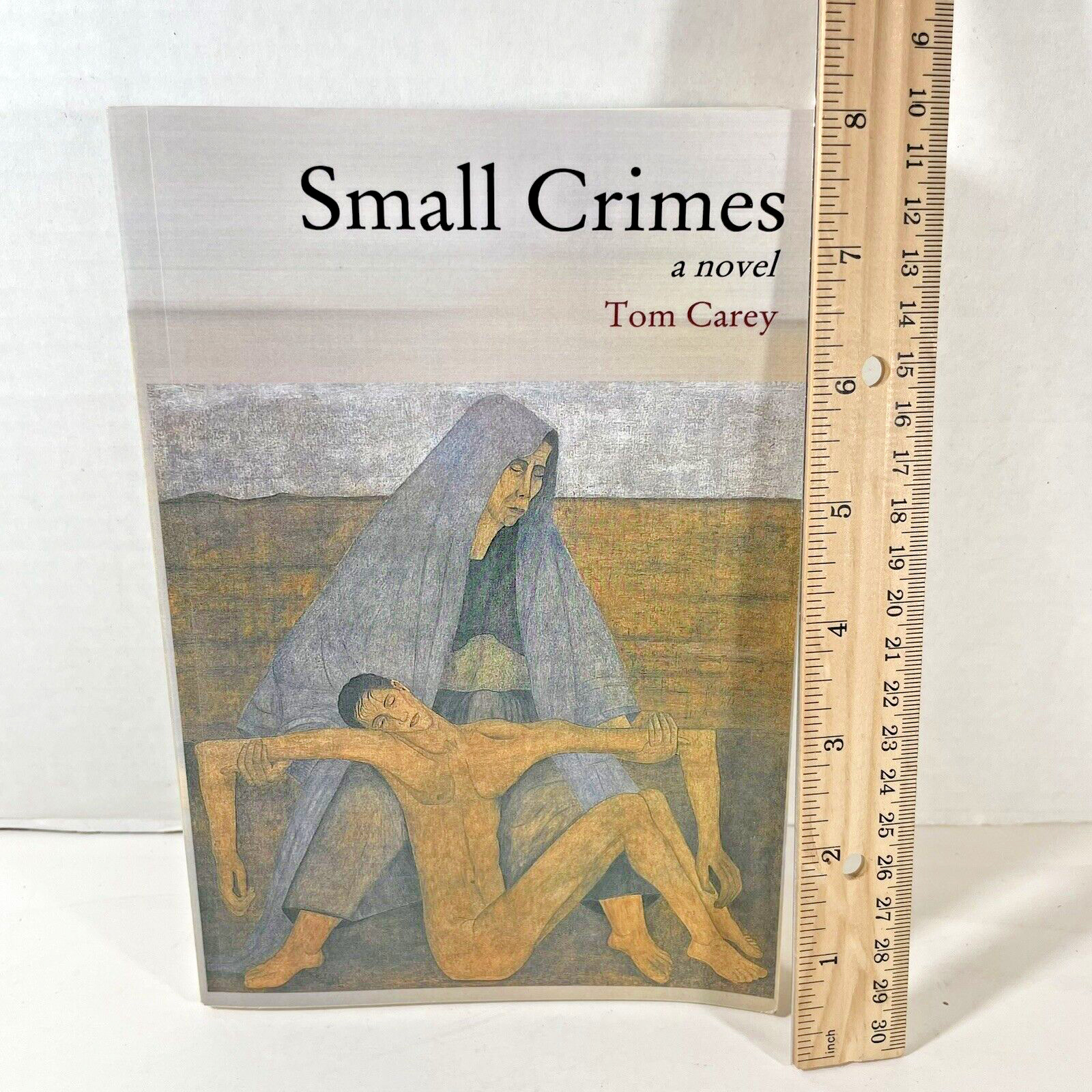 SMALL CRIMES By Tom Carey SIGNED 1st ED 2011 Trade Paperback Novel 314 pages