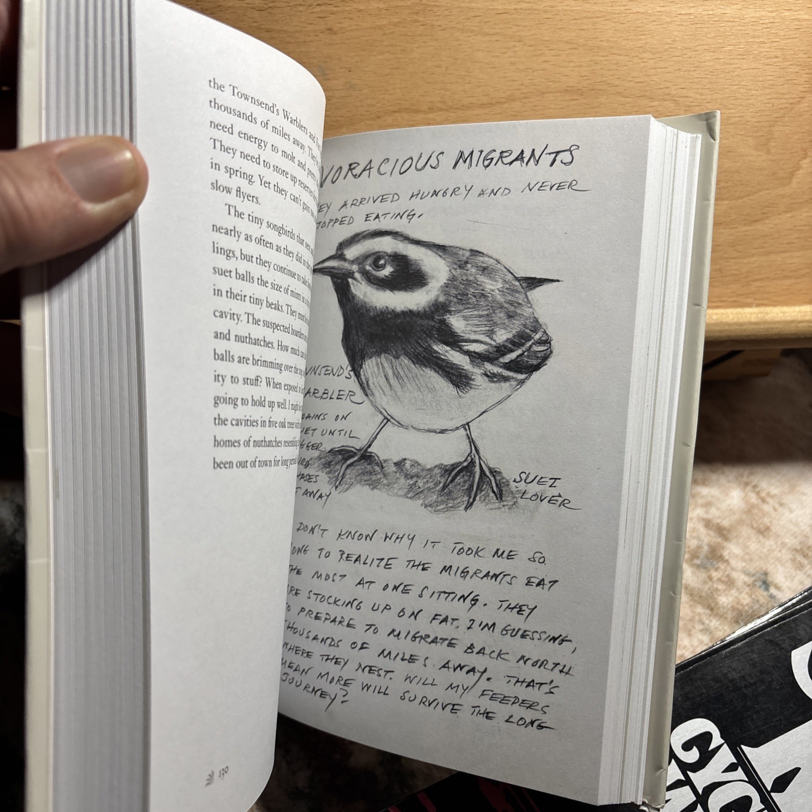 The Backyard Bird Chronicles, Amy Tan, Adorable Illustrations