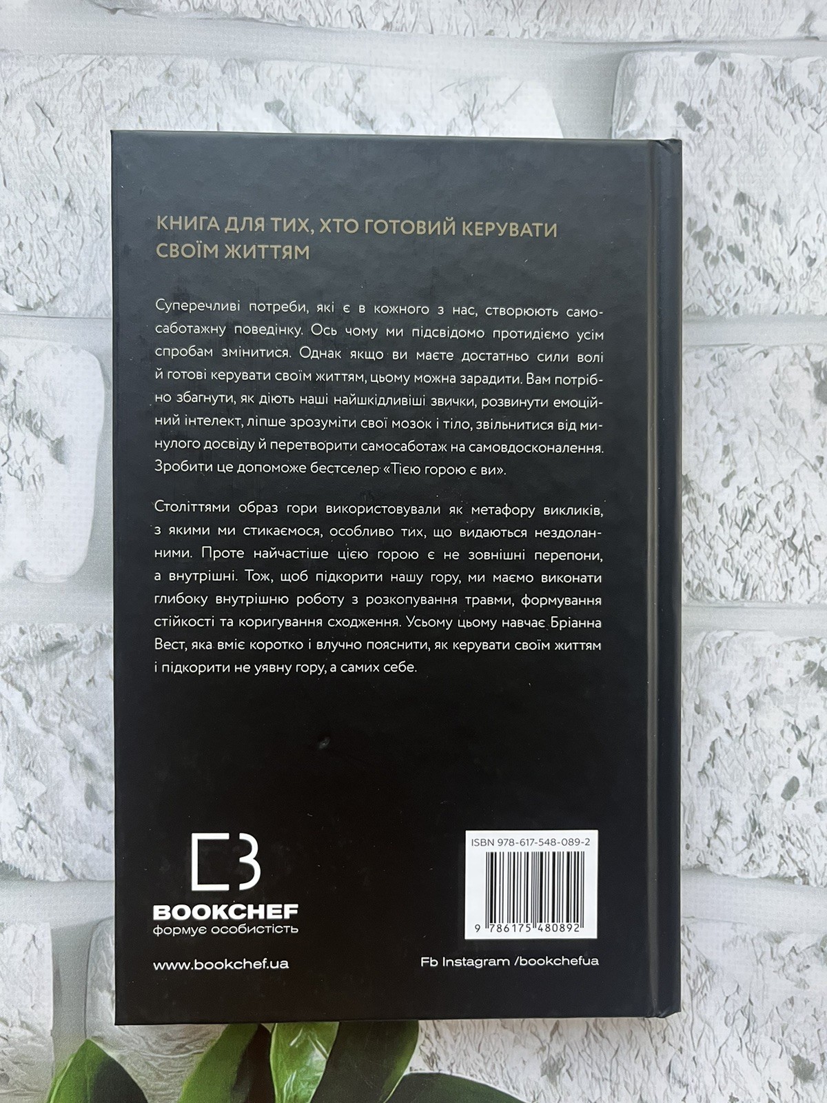 Бріанна Вест | Тією горою є ви. Як перетворити самосаботаж на самовдосконалення