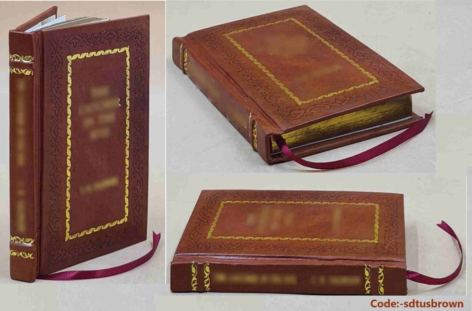 Lead: A Guide to Fostering Perpetual Leadership By Alle [Premium Leather Bound]