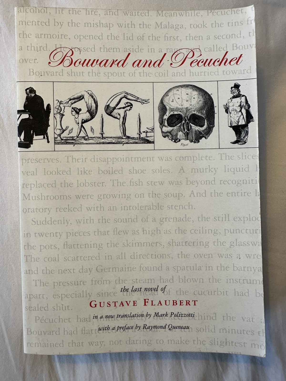 Bouvard and Pecuchet by Gustave Flaubert Paperback Dalkey Archive Press