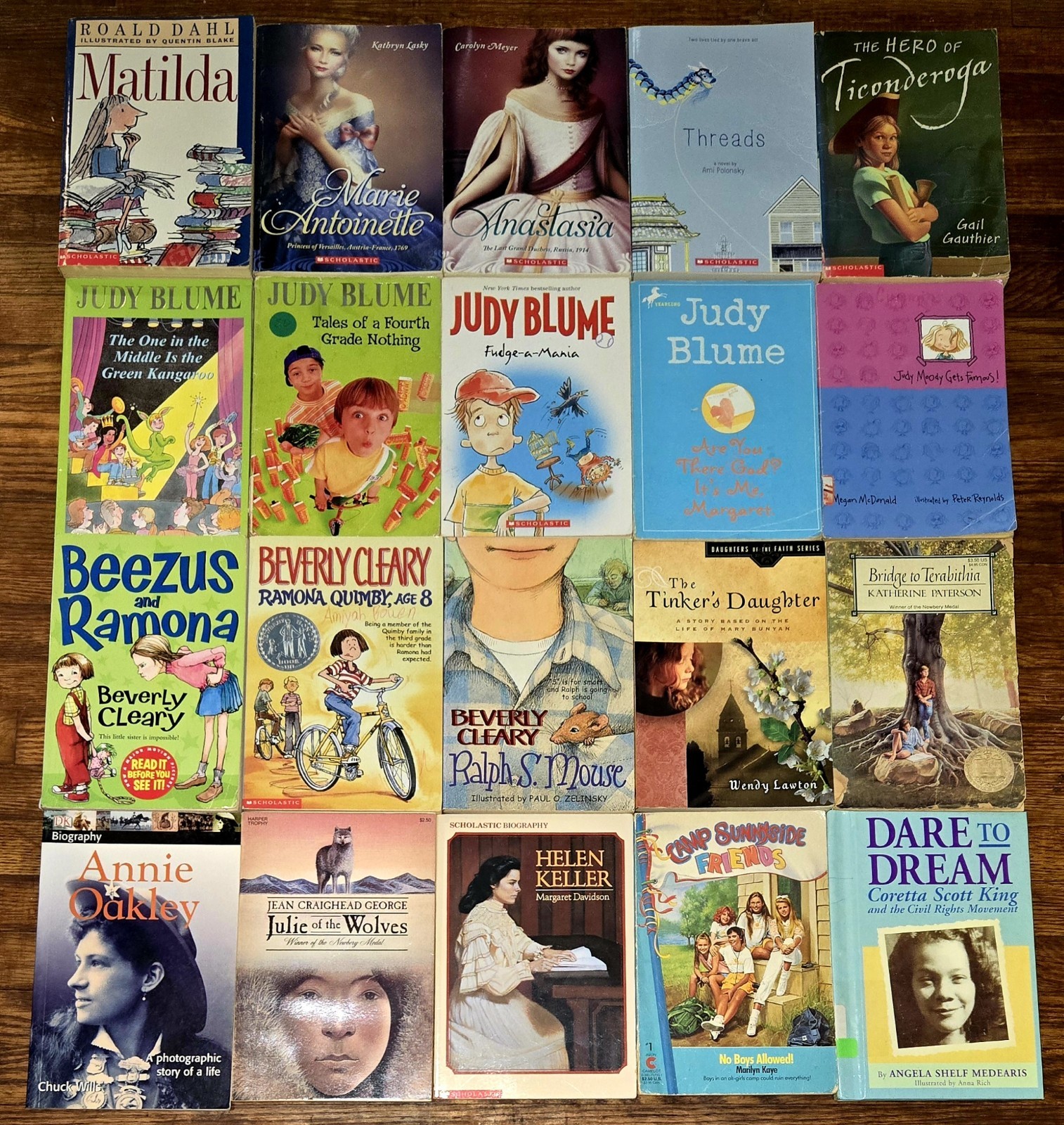 4th 5th Grade 20 Chapter Books Teacher Classroom Library Set Homeschool FB585
