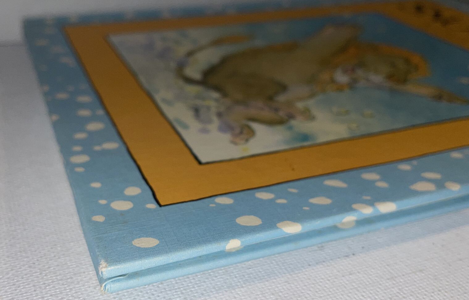 VTG Snow Lion Hardcover David M. McPhail Parents Magazine Press 1982 Read Aloud