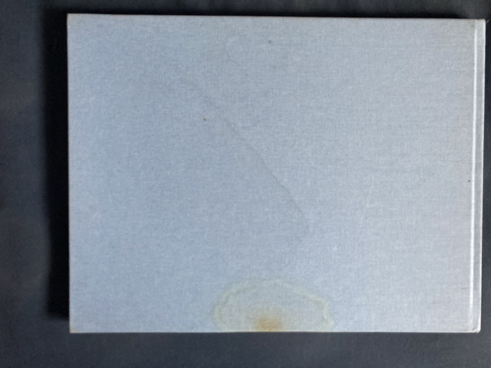 William Eggleston At Zenith Hardback 2013 Steidl