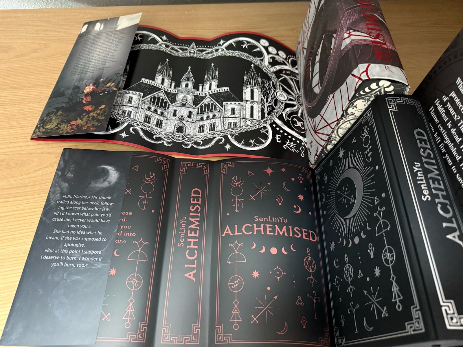 Alchemised Special Edition Set SenLinYu Fairyloot Bücherbüchse Dreamerwhale WS