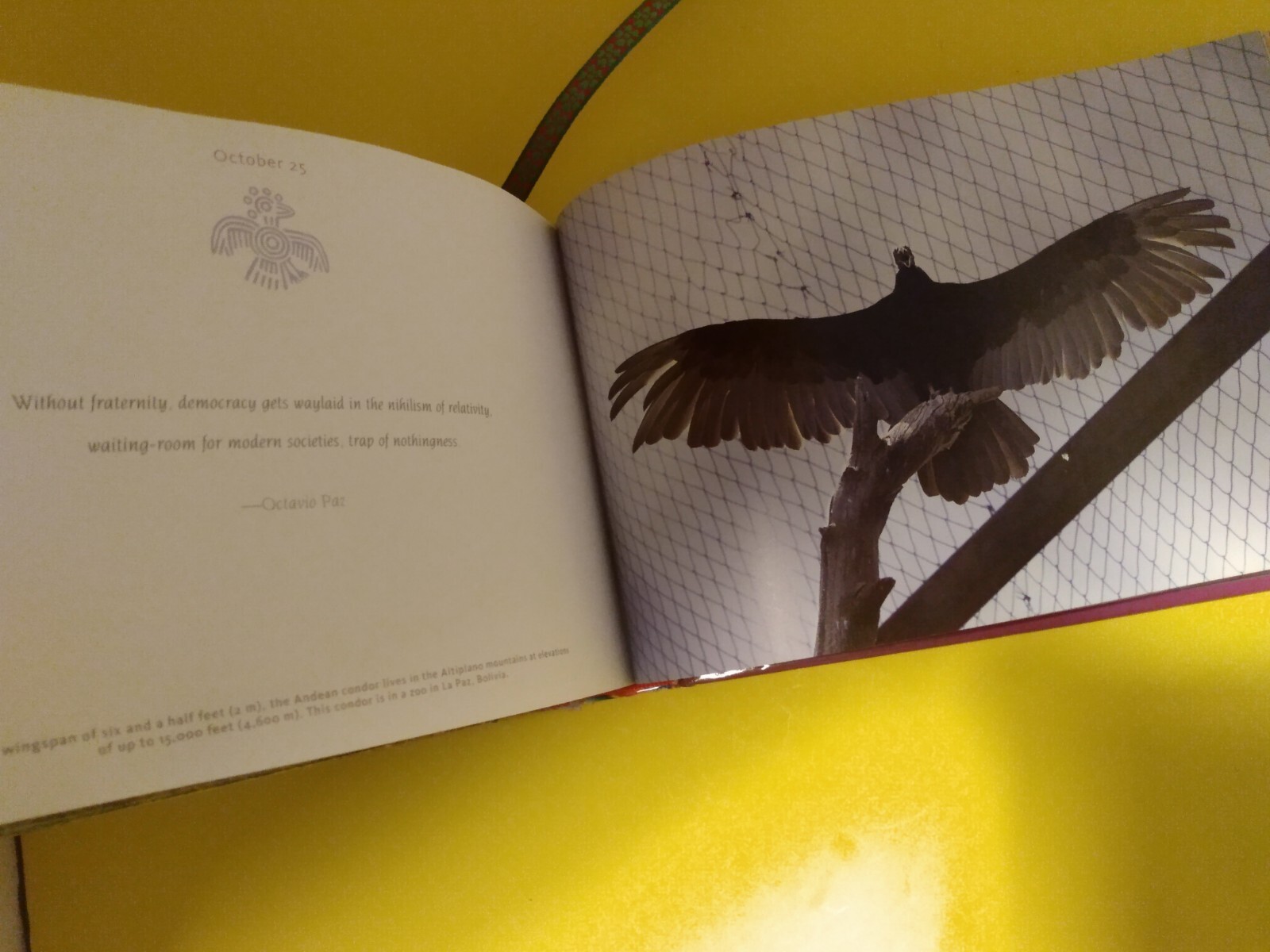 Revelations: Latin American Wisdom for Every Day Danielle Olivier Follmi Book
