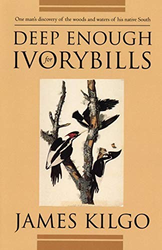 Deep Enough for Ivorybills (Brown Thrasher Books) by Kilgo