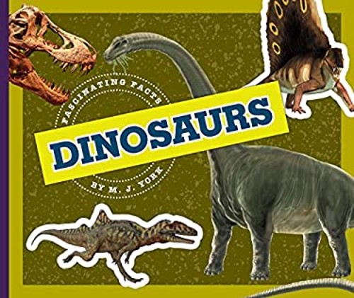 Dinosaurs Library Binding M. J. York