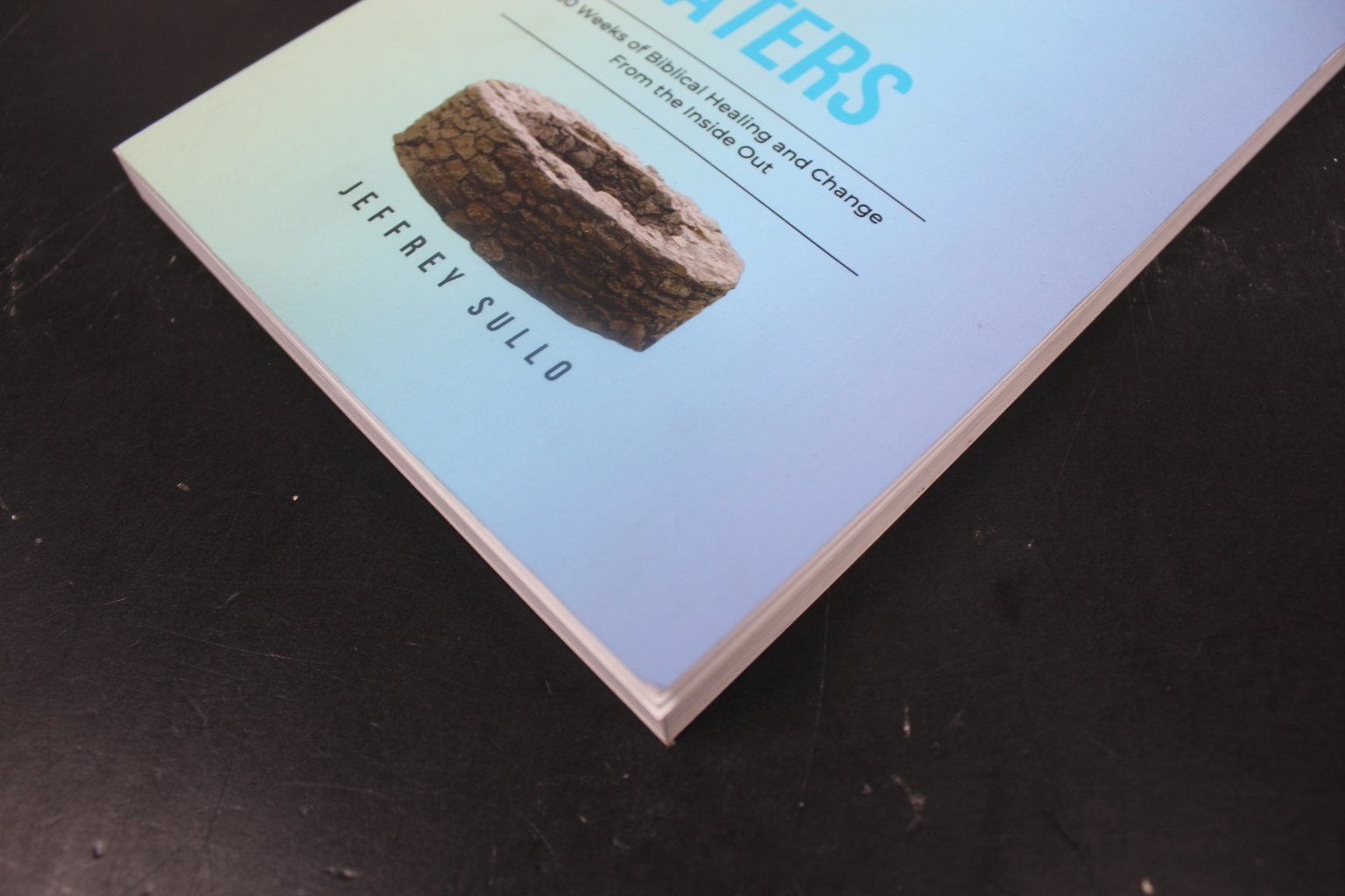 Drawing From Deep Waters Jeffrey Sullo 2023 Biblical Healing Devotional PB VG