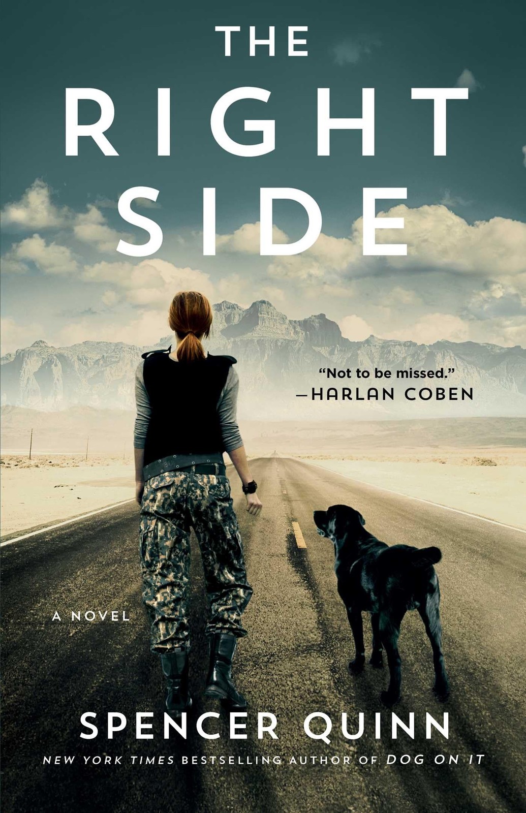 The Right Side: A Novel (For Mystery and Suspense Fans) – paperback Quinn, S…