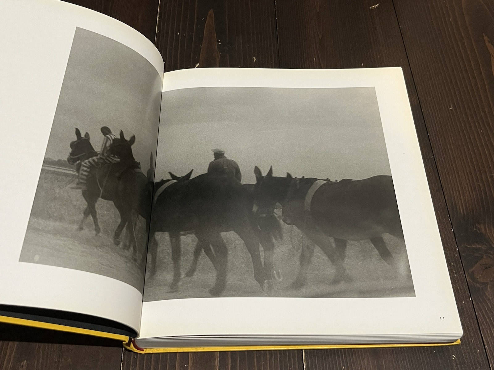 William Eggleston BEFORE COLOR STEIDL PHOTO BOOK 2010 1ST EDITION USED