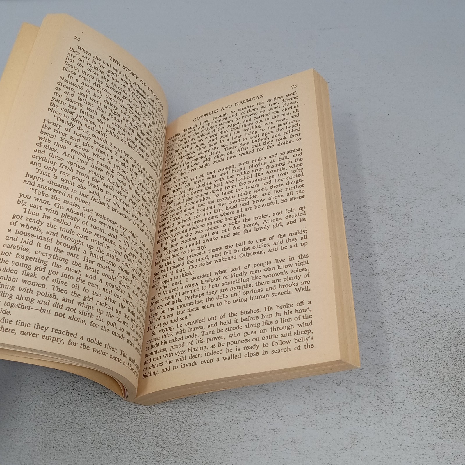 The Odyssey: New American Library Paperback by Homer