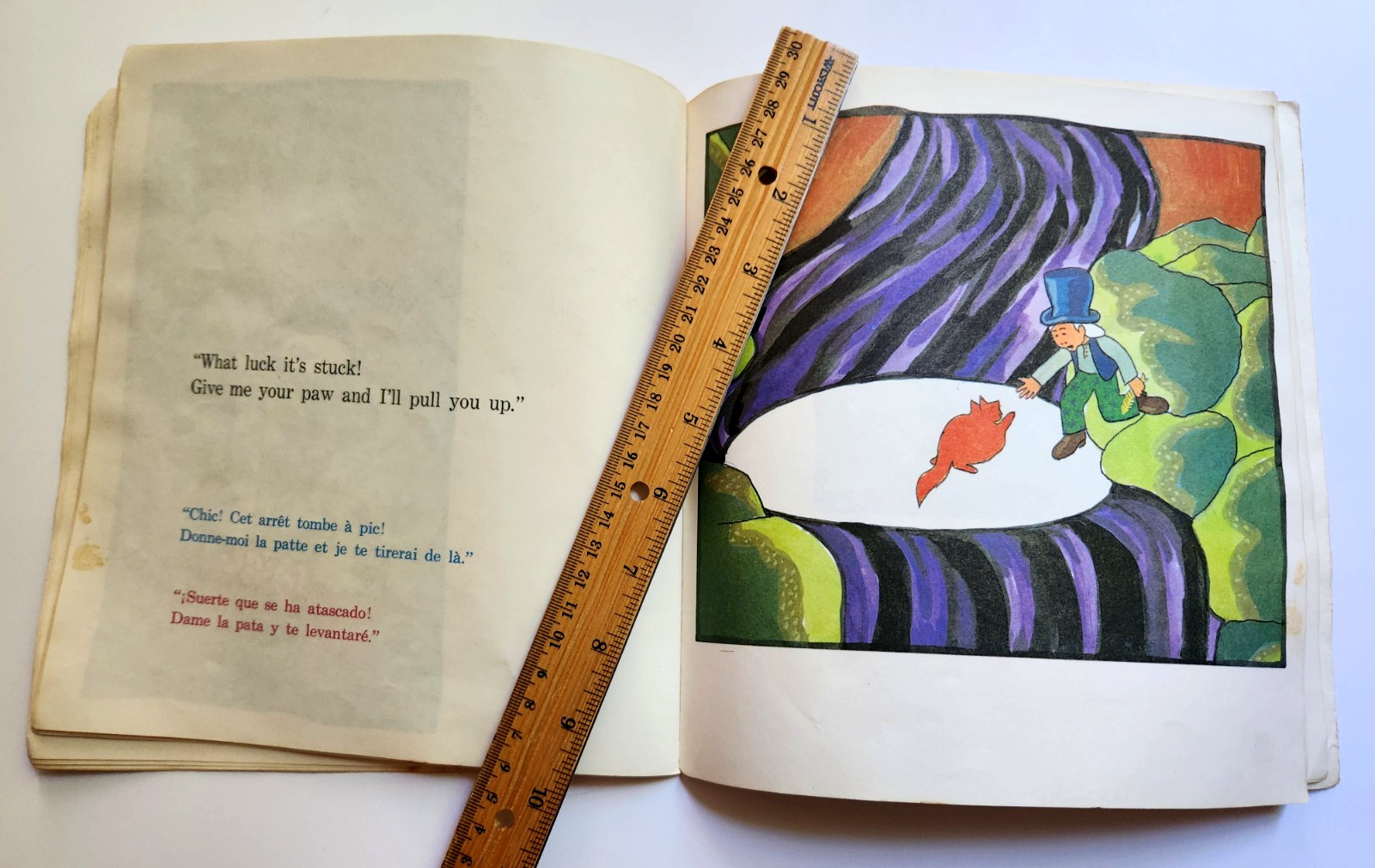 Teaser And The Firecat Book Cat Stevens French English Spanish Vintage 1973