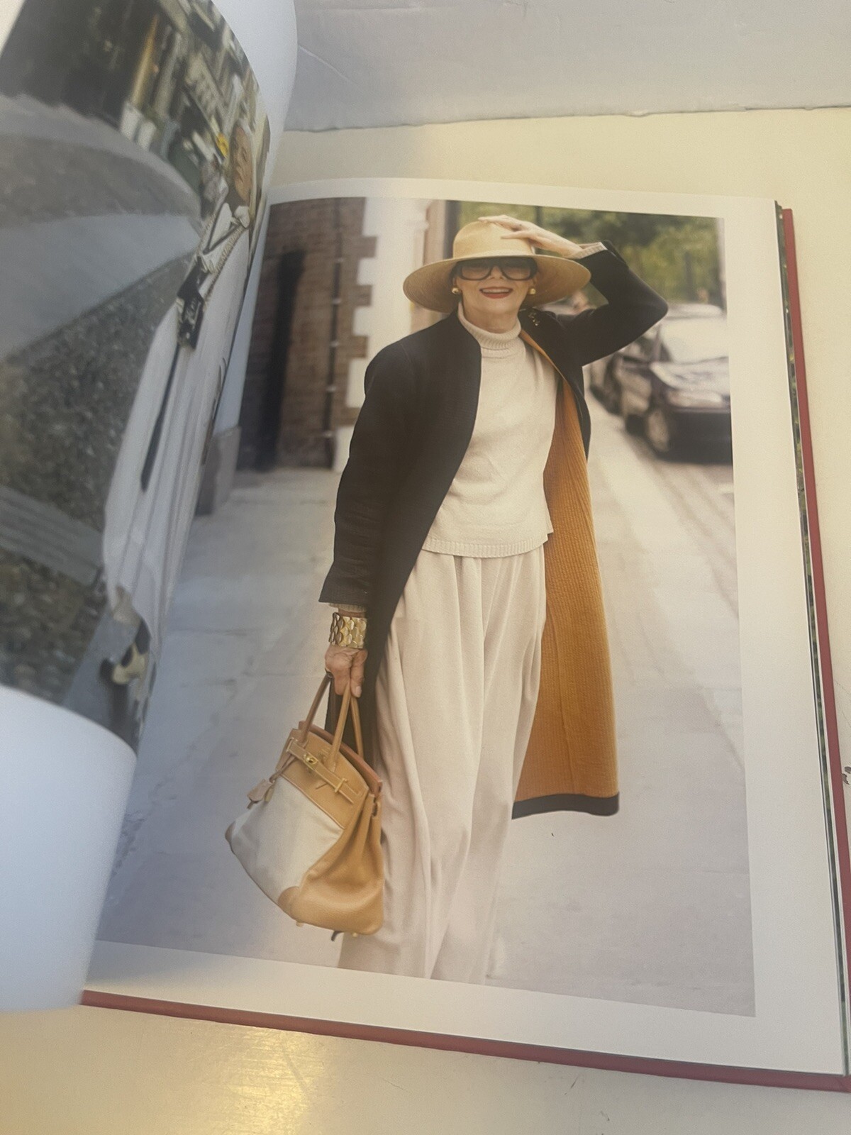 Advanced Style by Ari Seth Cohen (2012, Hardcover First Edition)