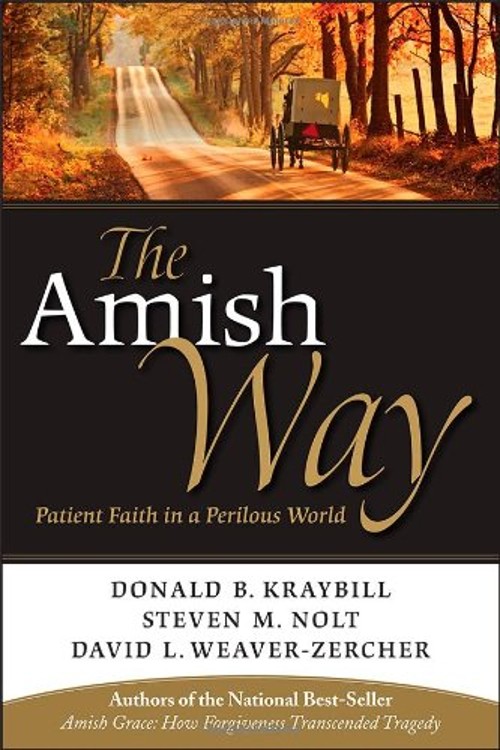 The Amish Way : Patient Faith in a Perilous World Hardcover