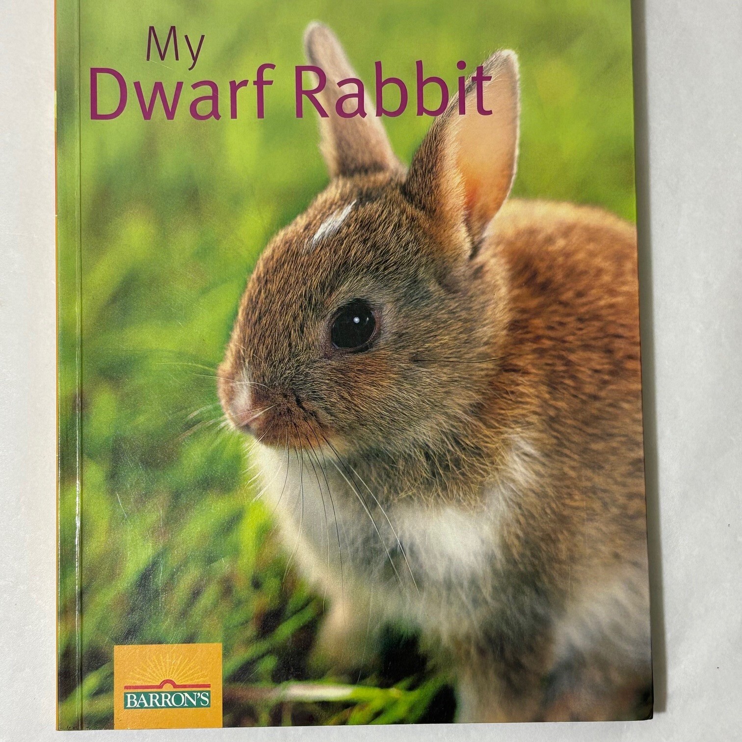 My Dwarf Rabbit Papperback Book Instructive Information