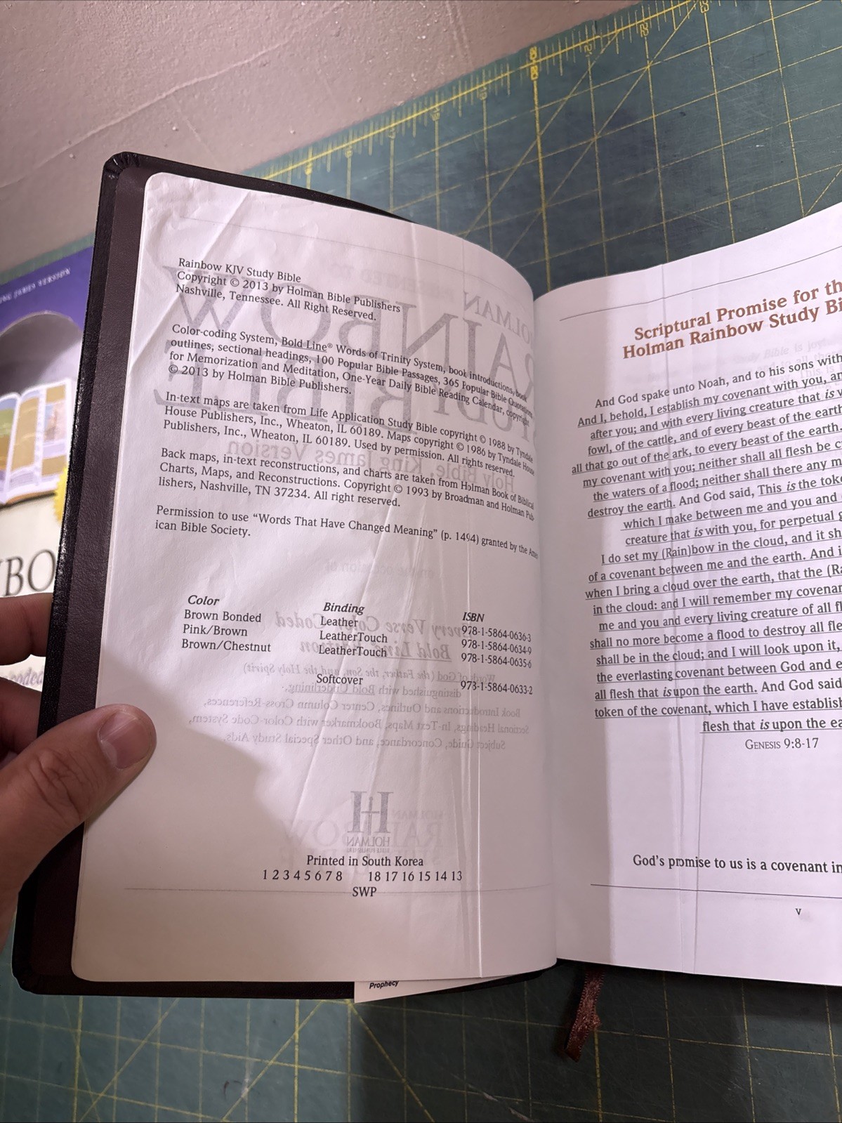 KJV 2013 Rainbow Study Bible Brown Bonded Leather