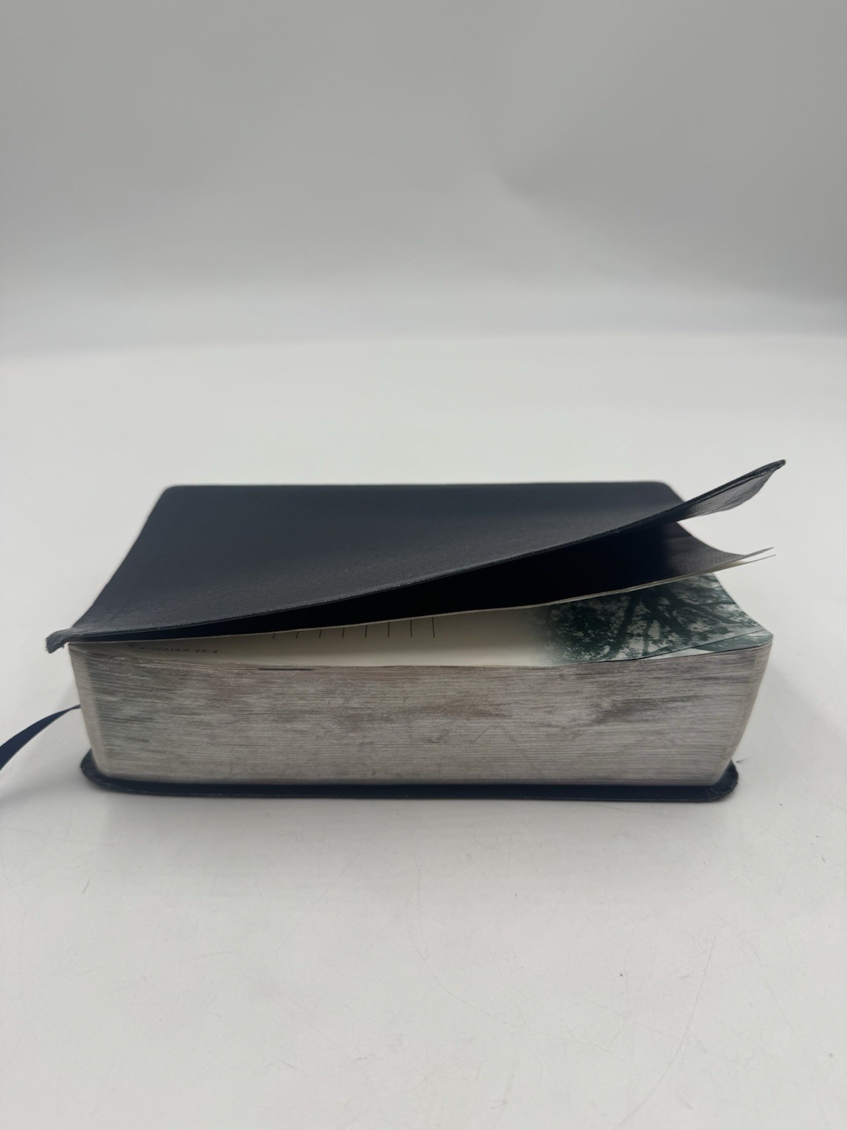 Tyndale Life Application Study Bible NLT New Living Translation Bonded Leather