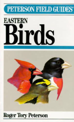 Peterson Field Guides to Eastern Birds, 4th Edition – Paperback – VERY GOOD