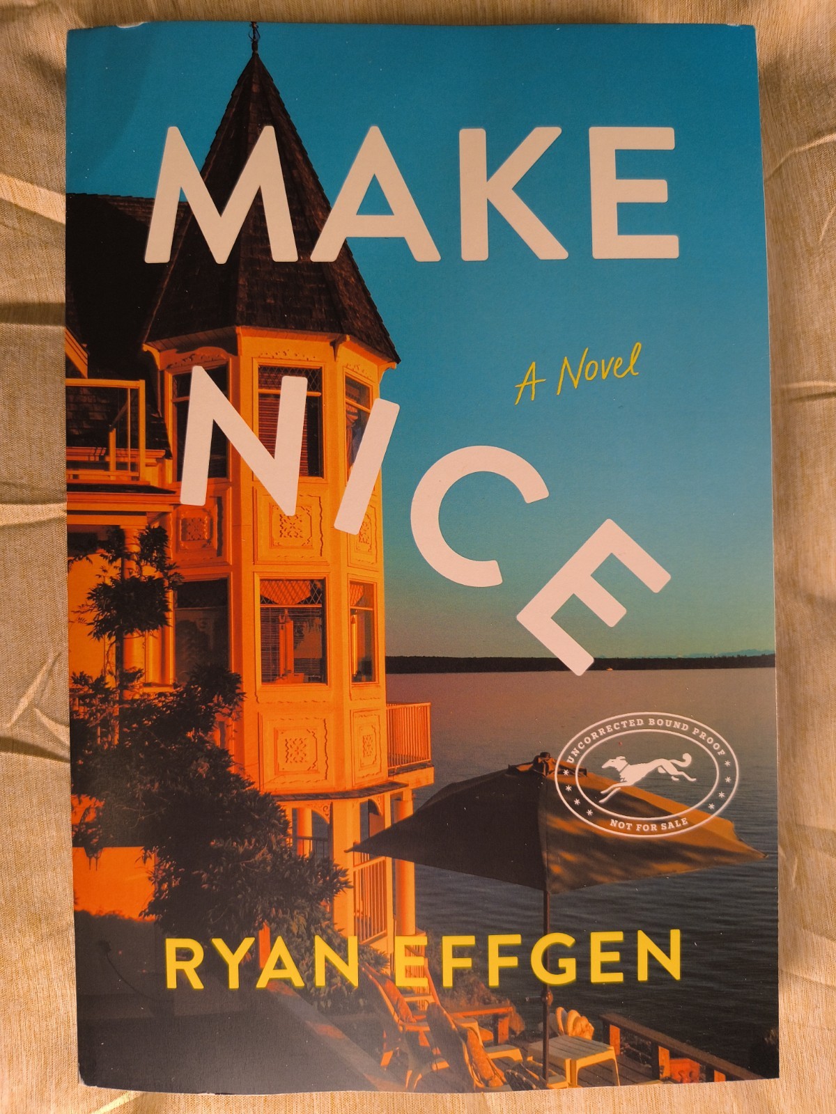 Make Nice Ryan Effgen NEW ARC Paperback Family Drama Advance Copy Uncorrected
