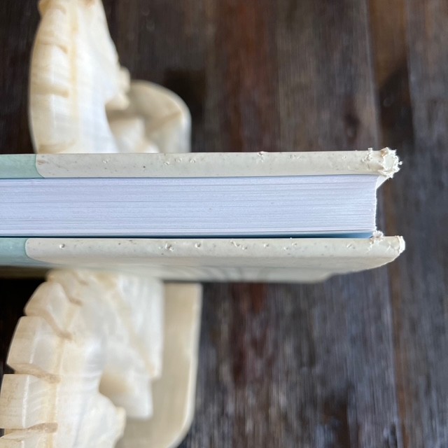 View from a Sketchbook: Nature Through the Eyes of Marjolein Bastin Tovah Martin