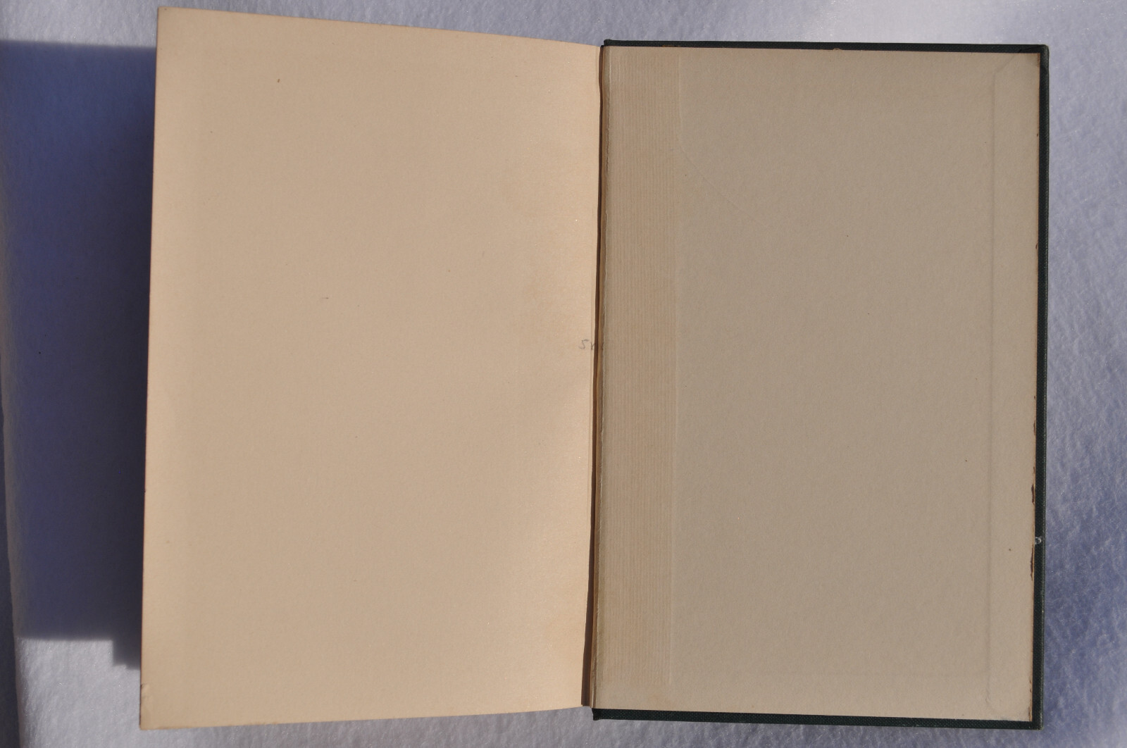 Through Judy’s Eyes; E. Elizabeth Vickland; Judson Press 1924-Christian Missions