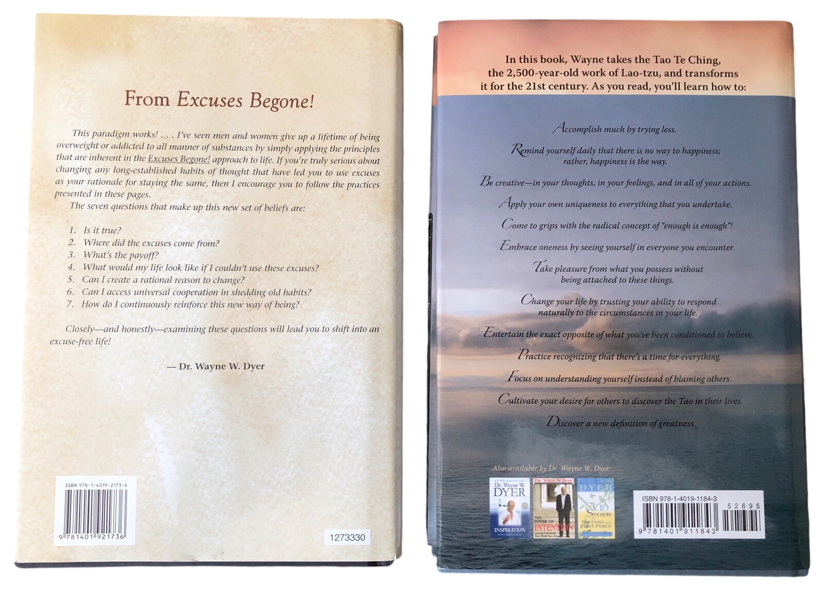 Dr. Wayne W. Dyer Self-Help Inspiration 2-Book Bundle 2009 Hay House HC