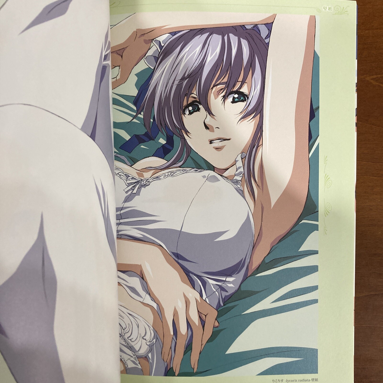 COLORS Hidero Horibe ART WORKS 2 Art Book Illustration