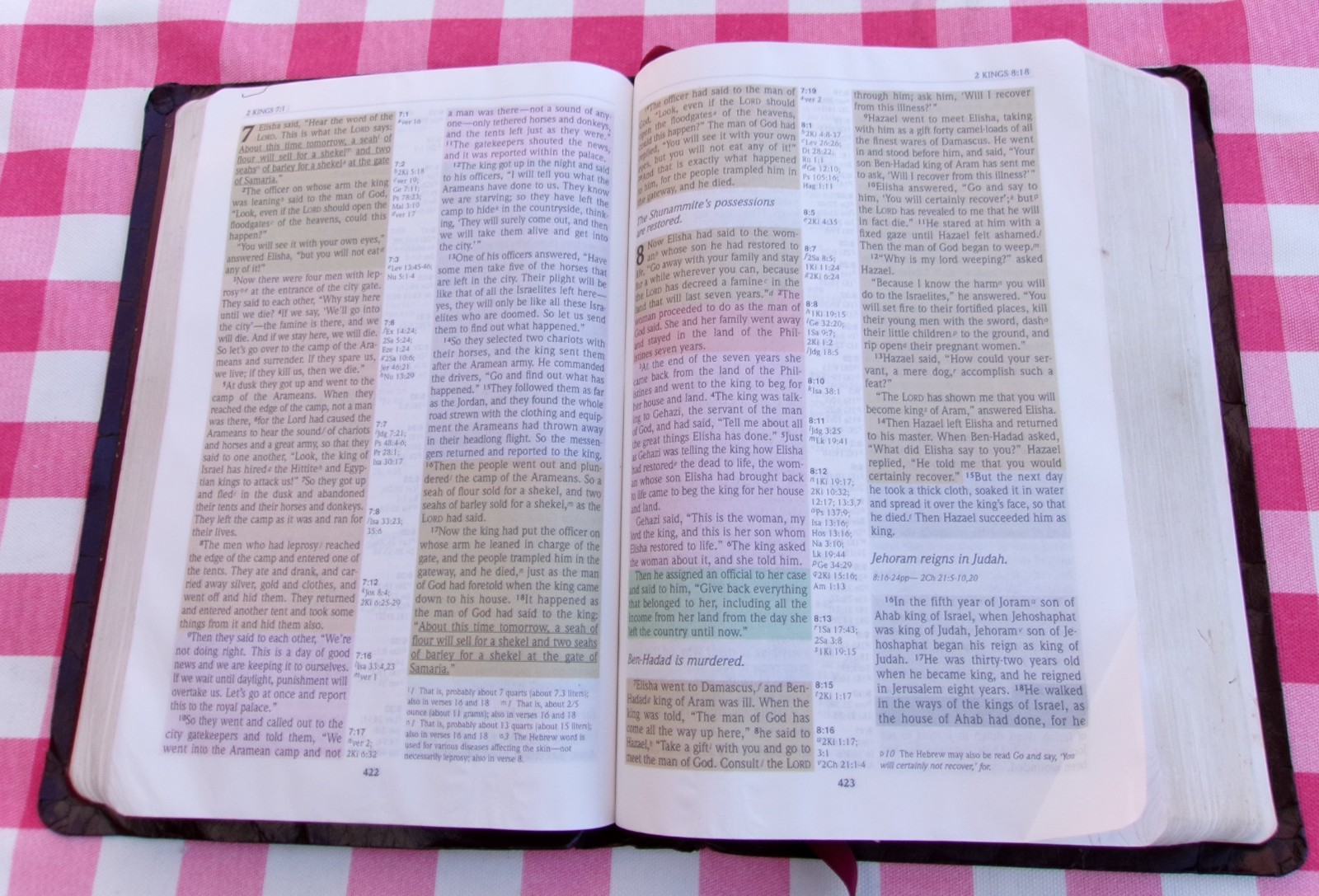 THE NIV RAINBOW STUDY BIBLE NEW INTERNATIONAL VERSION