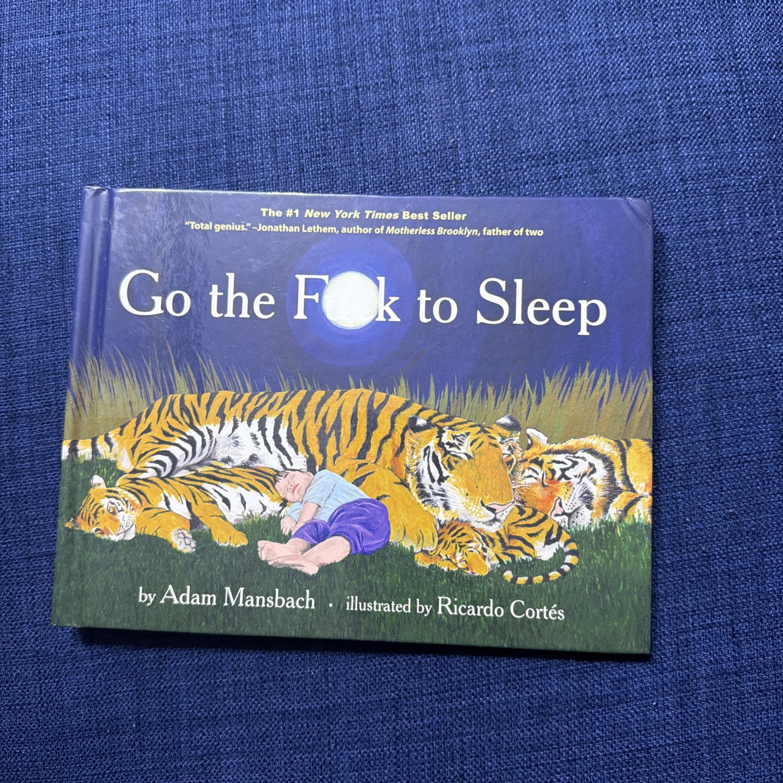 Go the Fuck to Sleep by Adam Mansbach (2011, Hardcover)