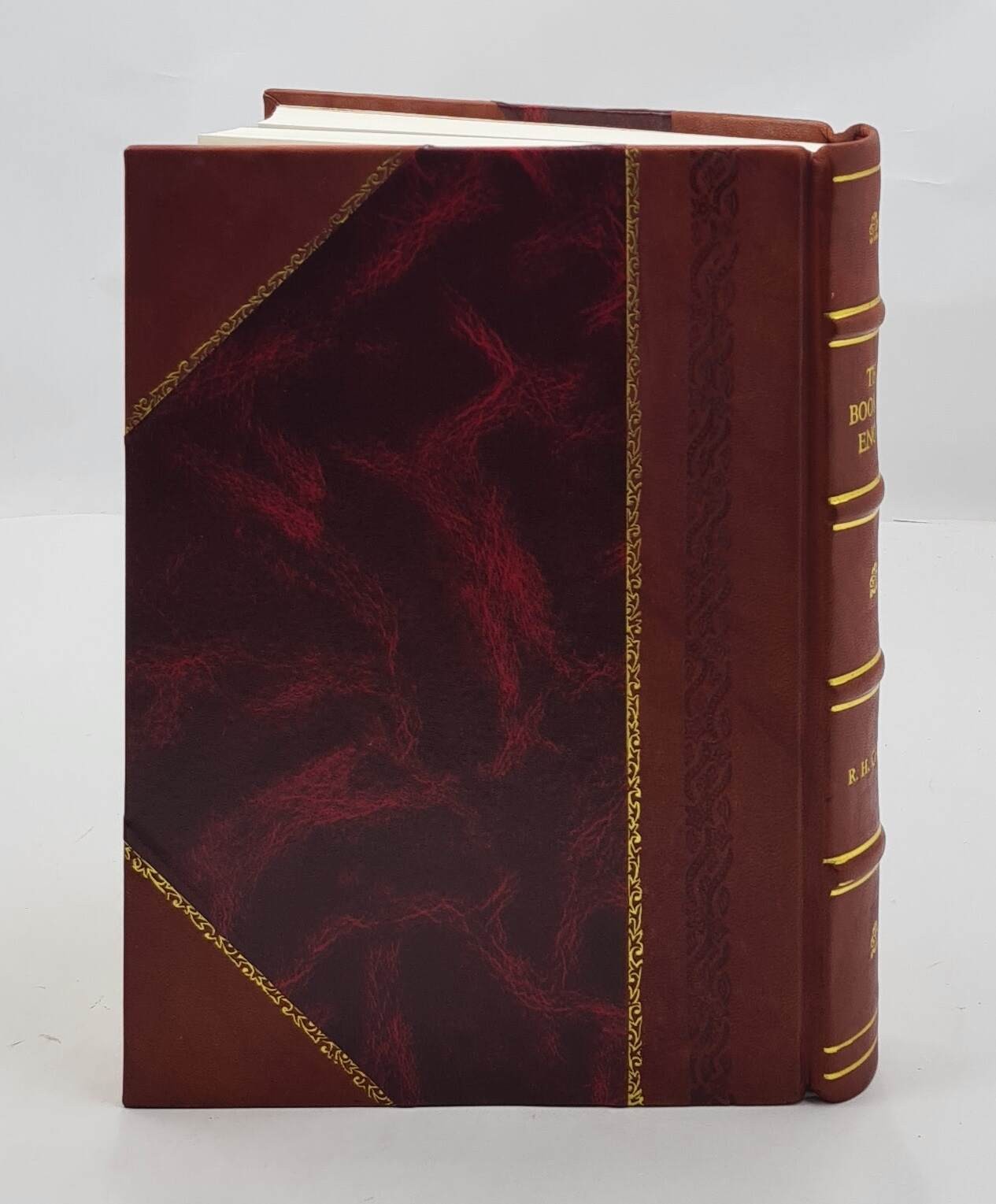 The Book Of Enoch 1893 By Dillmann, R. H. Charles [Leather Bound]