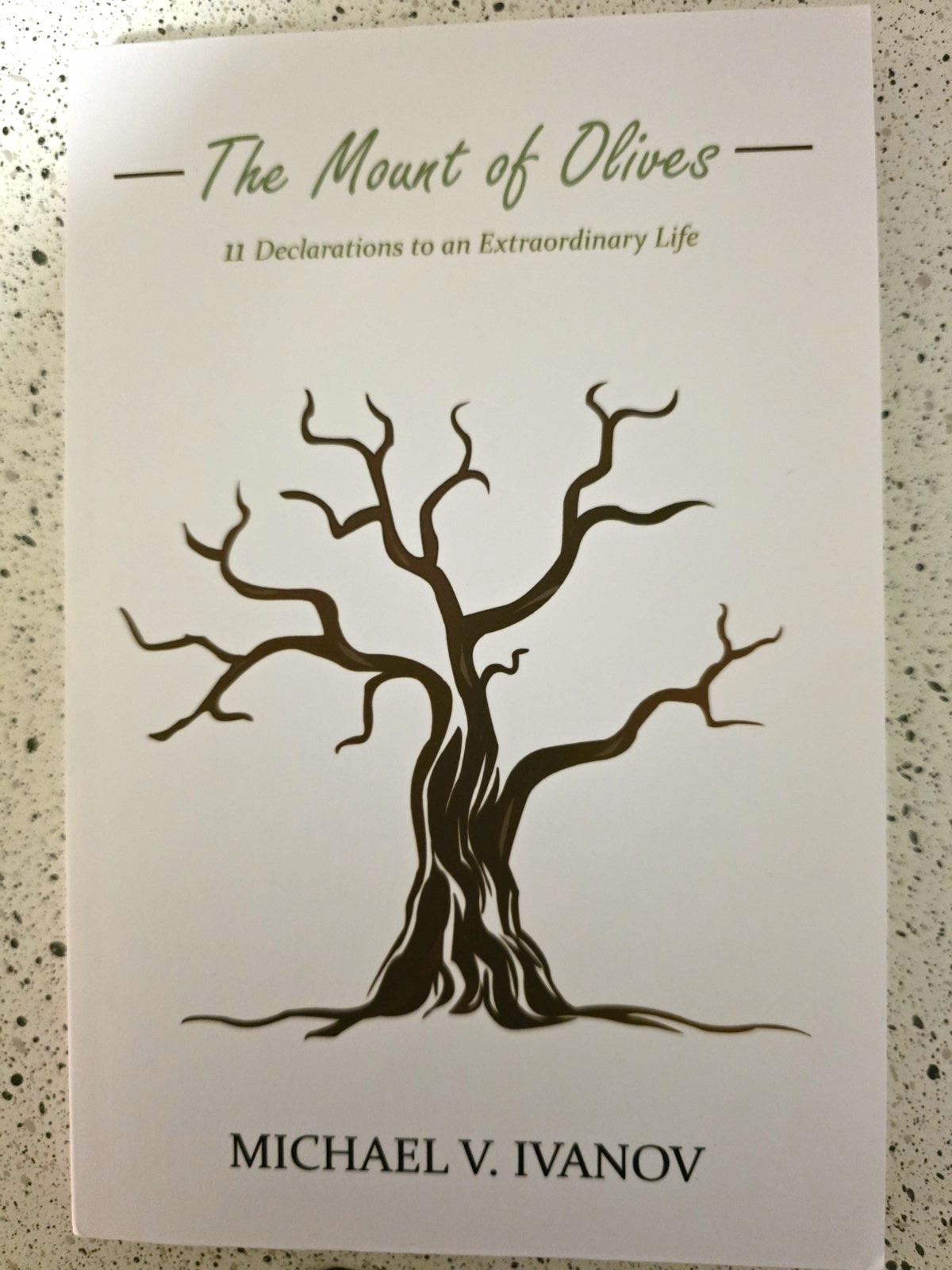 Michael V. Ivanov The Mount of Olives Paperback 2017