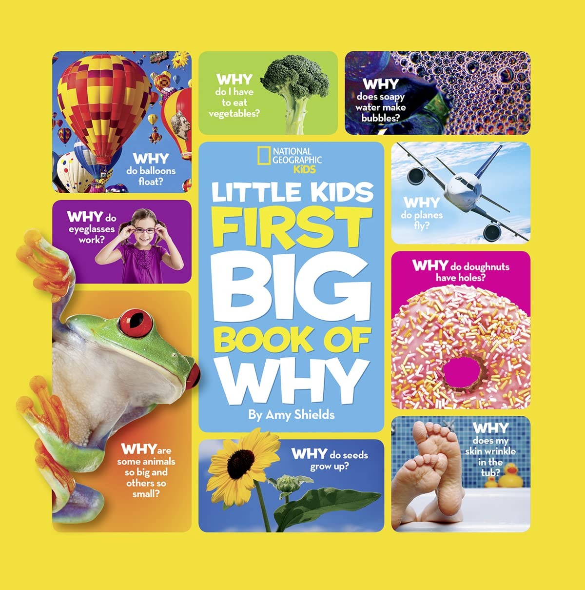 Little Kids First Big Book of Why Fun Answers for Curious Preschoolers