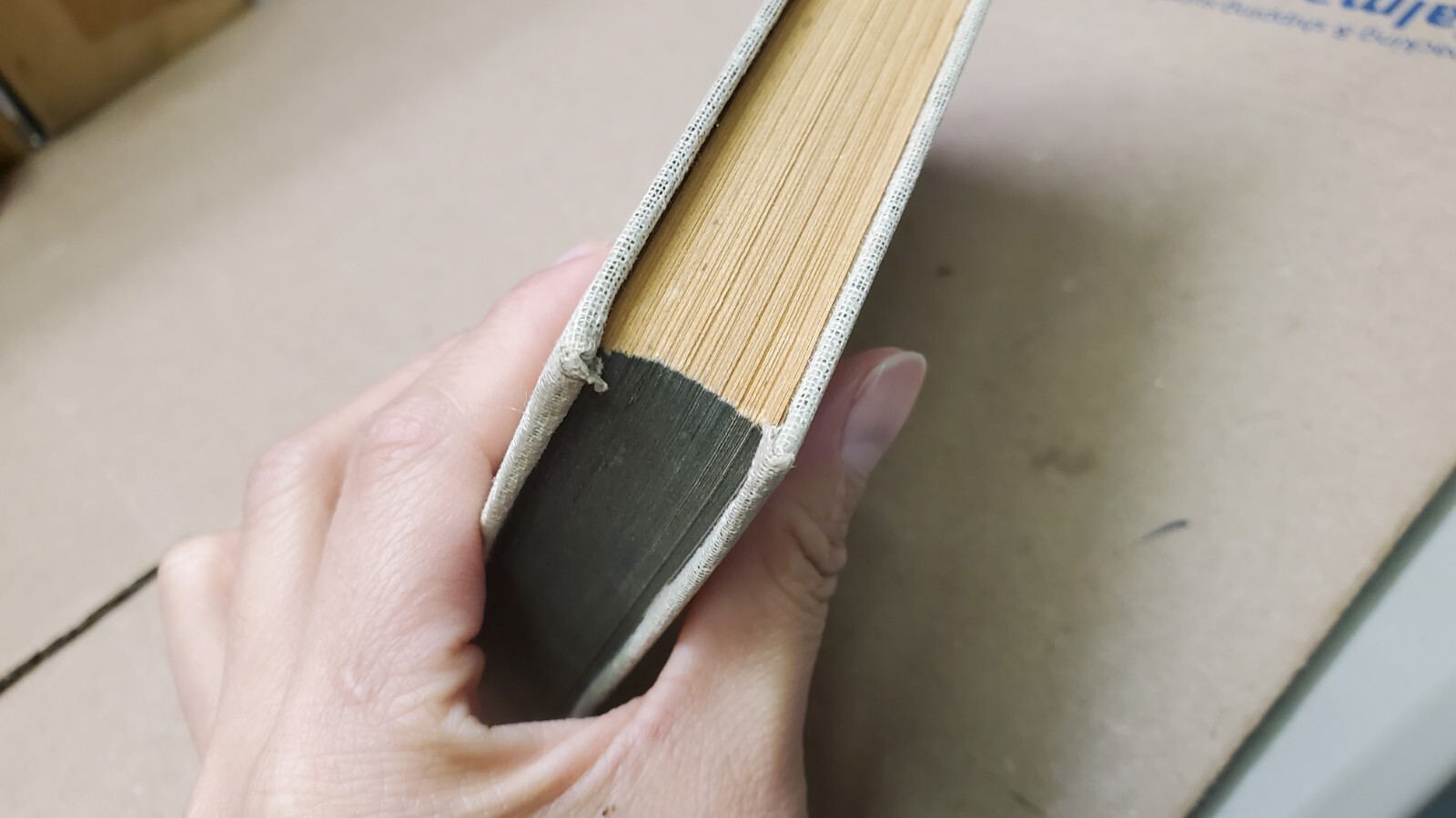 Western Story Omnibus Collection of Short Stories By William Targ Hardcover 1946