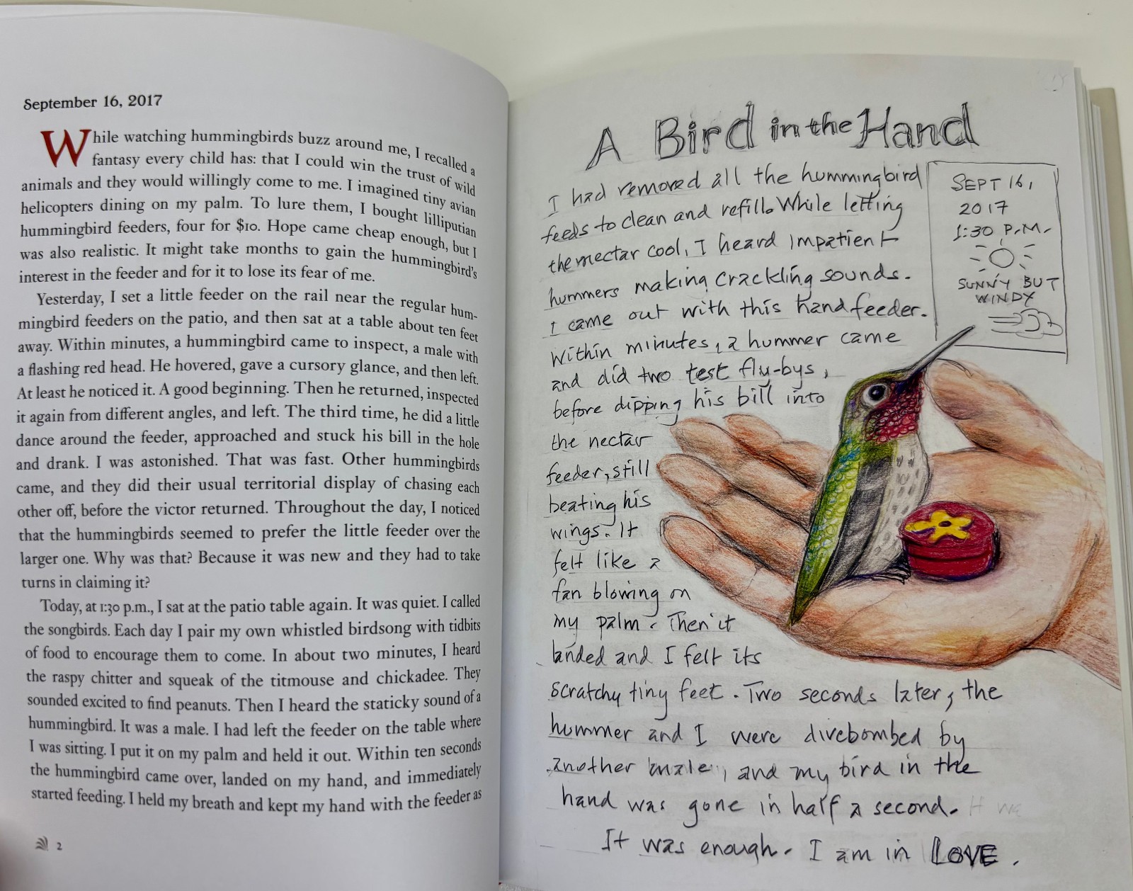 NEW The Backyard Bird Chronicles AMY TAN Best Seller NYT David Sibley