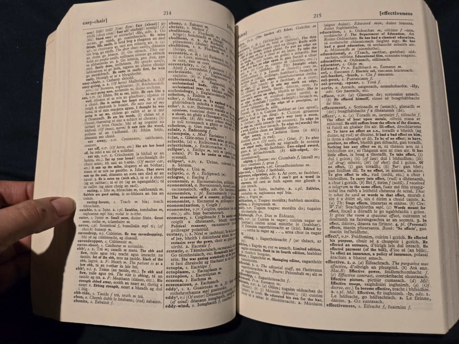 English-Irish Dictionary : With Terminological Additions and Corrections