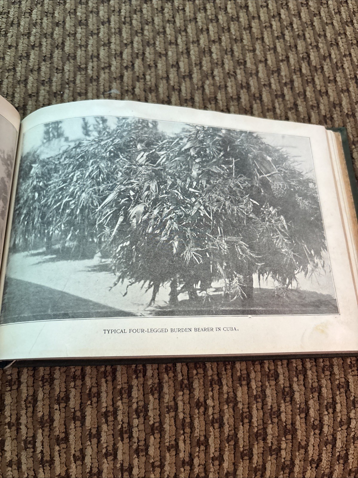1898 “Neely’s Panorama of Our New Possessions” Book w Many Rare B&W photos