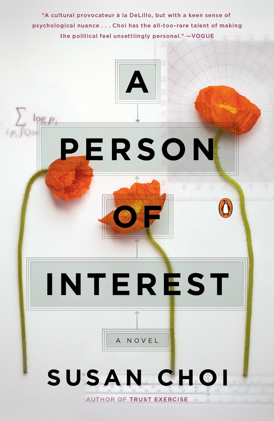 A Person of Interest: A Novel – paperback Choi, Susan