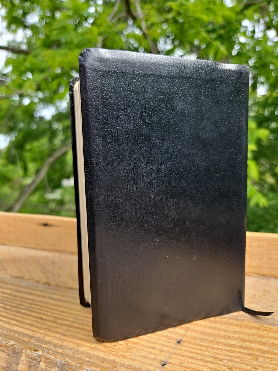 Practical Meditations: For Every Day in the Year Angelus Press Black Leathersoft