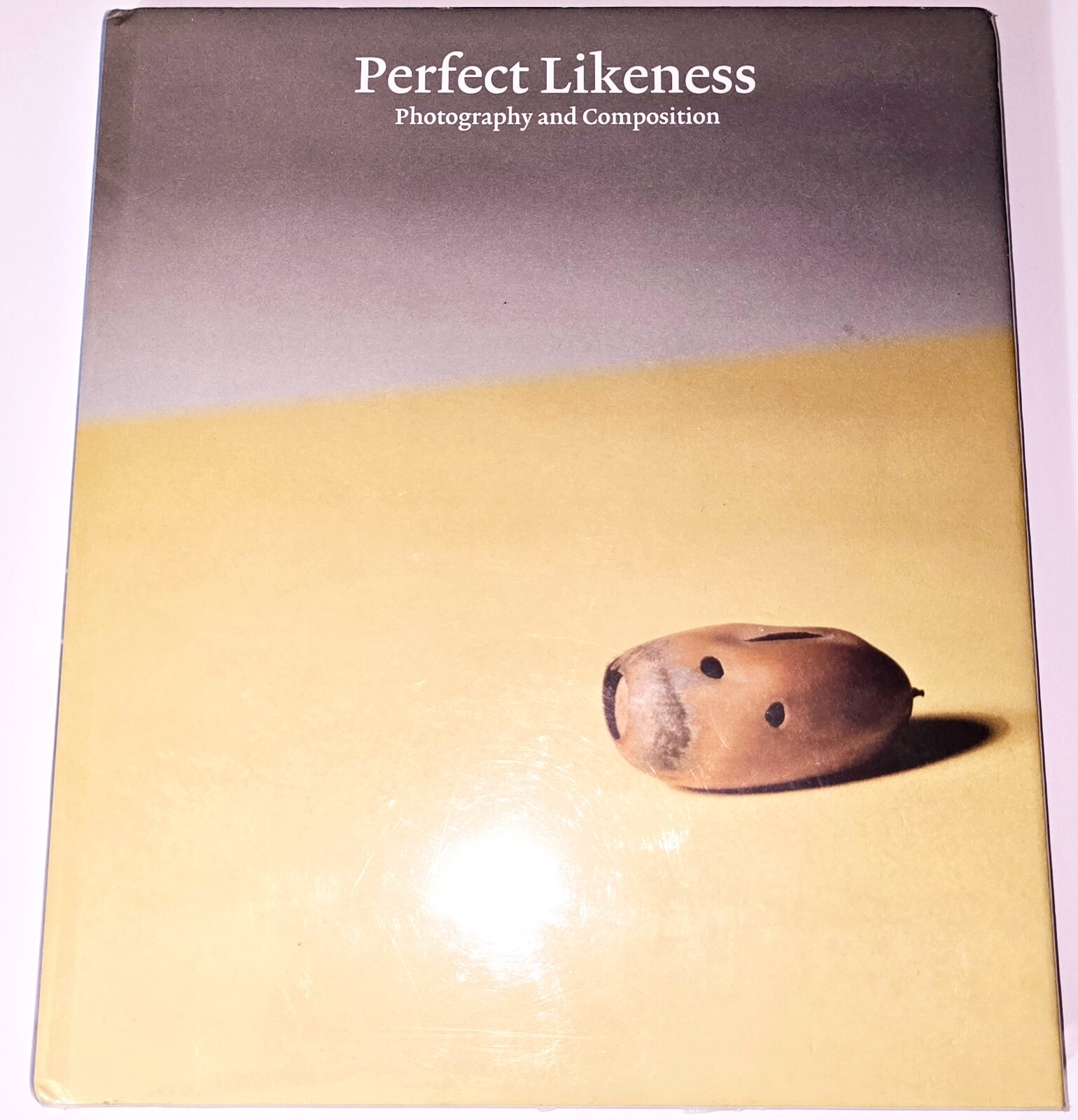 PERFECT LIKENESS SEALED WILLIAM EGGLESTON PHOTOGRAPHY COMPOSITION ART PHOTO BOOK