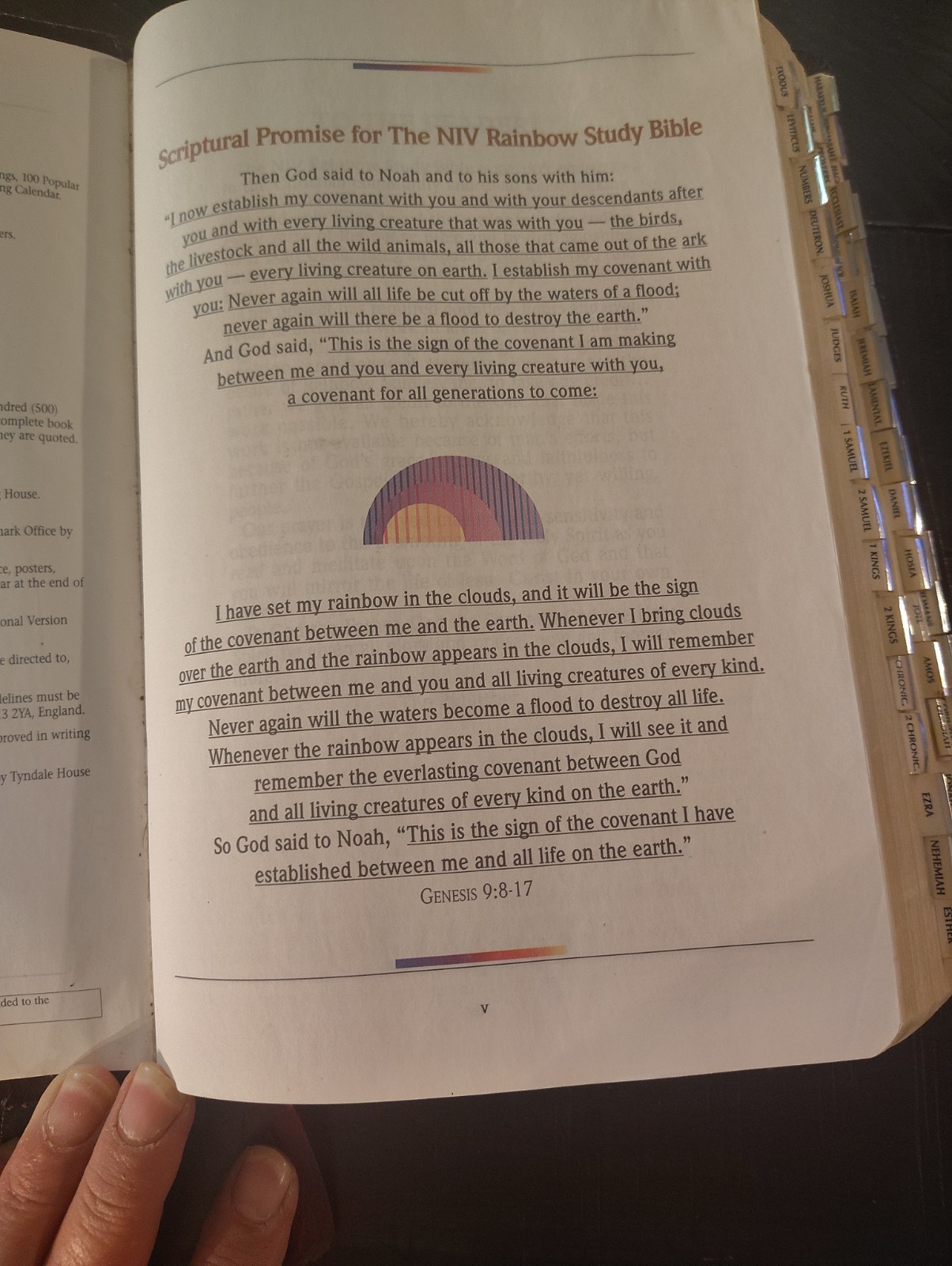 Vintage NIV Rainbow Study Bible Rainbow Studies Faux Leather Burgundy 1992 USA