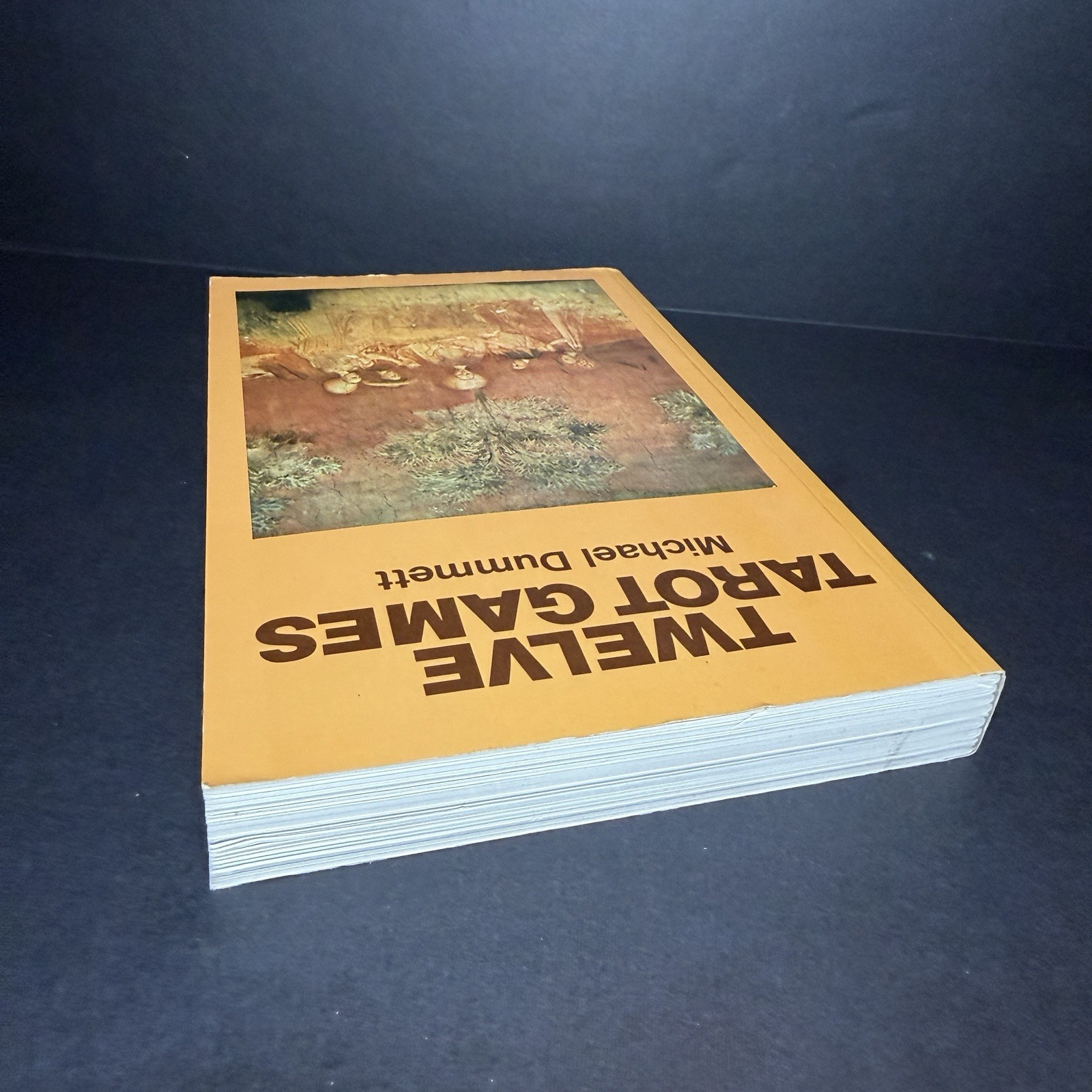 Twelve Tarot Games Paperback Michael Dummett