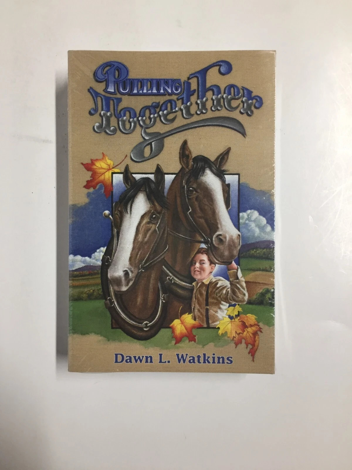 Pulling Together/Carolina’s Courage/Jenny Wren/On Yonder Mountain BJU Press Bks