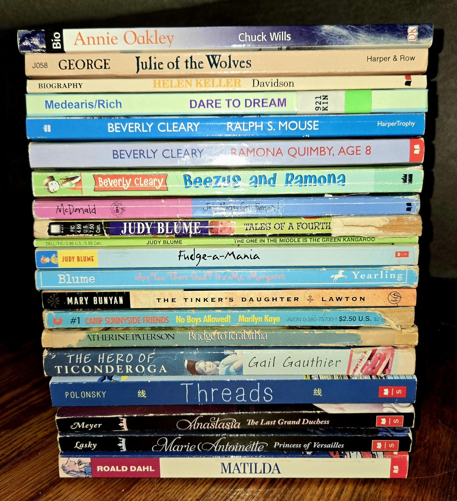 4th 5th Grade 20 Chapter Books Teacher Classroom Library Set Homeschool FB585