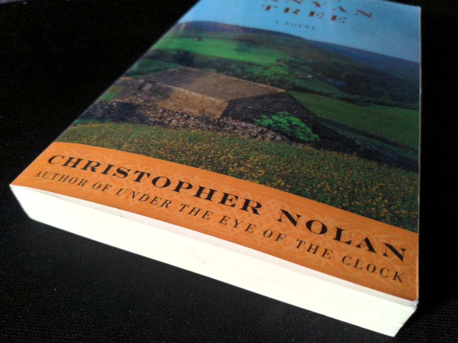 Uncorrected Proof – The Banyan Tree by Christopher Nolan 2000 PB ARC